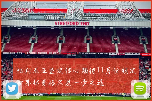 帕利尼亚坚定信心期待11月份锁定世界杯资格只差一步之遥