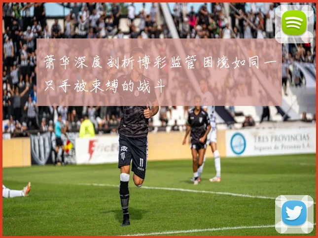 萧华深度剖析博彩监管困境如同一只手被束缚的战斗