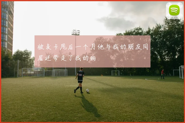 被麦卡甩后一个月他与我的朋友同居还带走了我的狗